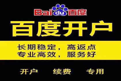 案例分享：百度推广助力企业实现多元化发展